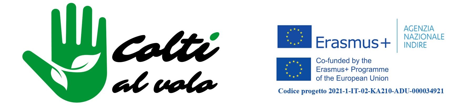 Colti al Volo